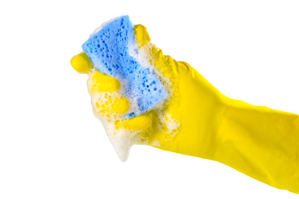 istock A hand in a protective glove holds a soapy sponge isolated on white. House cleaning concept. 1290917975