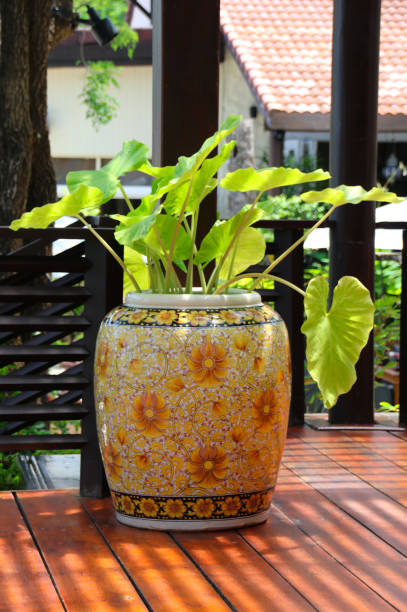 a beautiful vase with a green plant in a beautiful setting