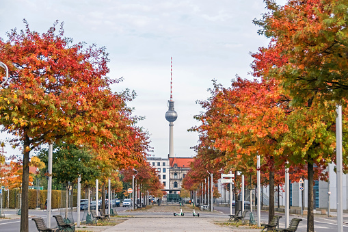 Berlin, Germany - October 20, 2020:  Paul Loebe Alley with autumn coloured trees and television tower