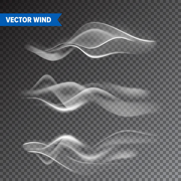 realistische wind-set auf transparentem hintergrund. vektordampf in luft, rauchdampfstrom. nebel, nebeleffekt - smoke condensation gas smooth stock-grafiken, -clipart, -cartoons und -symbole