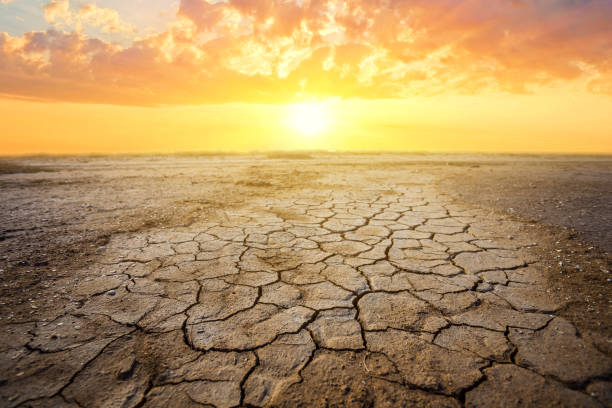 istock dry cracked earth at the dramatic sunset, ecologigal calamity background 1290922188