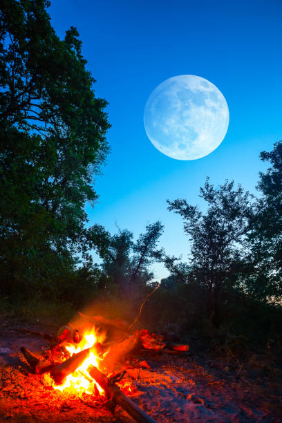fuego de campamento en un bosque en el crepúsculo bajo una luna enorme, fondo de viaje al aire libre - stike fotografías e imágenes de stock