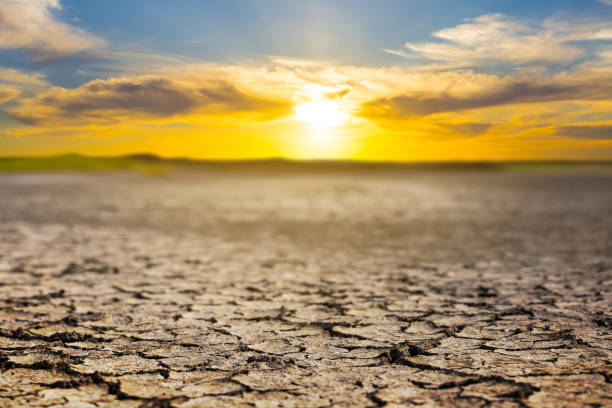 istock dry cracked earth at the dramatic sunset, ecologigal calamity background 1290922778