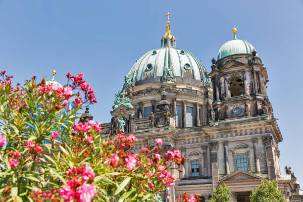 cathedral berliner dom on museum island in berlin, germany. - berlin cathedral berlin germany museum island sunlight imagens e fotografias de stock