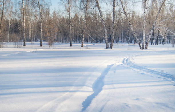 冬公園のスキーコース。コンセプト - 自然、健康的なライフスタイル - rural scene russia ski track footpath ストックフォトと画像