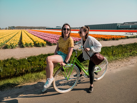 happy girls with their ride bike in front of beautiful dutch tulip field in full harvest season