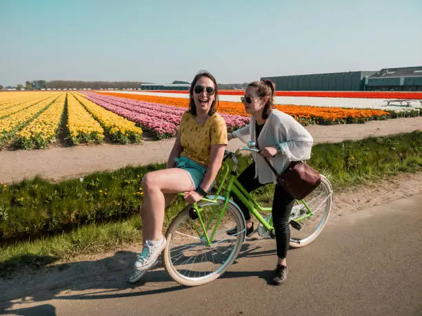 Photo of happy girls with their ride bike in front of beautiful dutch tulip field in full harvest season
