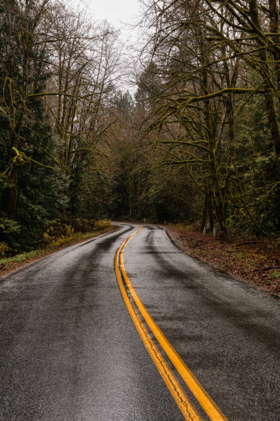 istock Scenic Road in the Green Forest 1290941582
