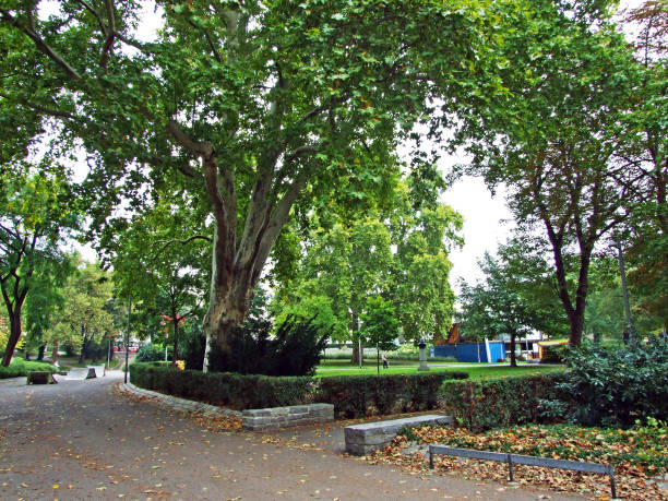 istock Green spaces and city parks (Stadtparks, Wien) - Vienna, Austria 1290942985
