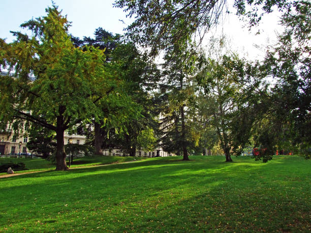 istock Green spaces and city parks (Stadtparks, Wien) - Vienna, Austria 1290942987