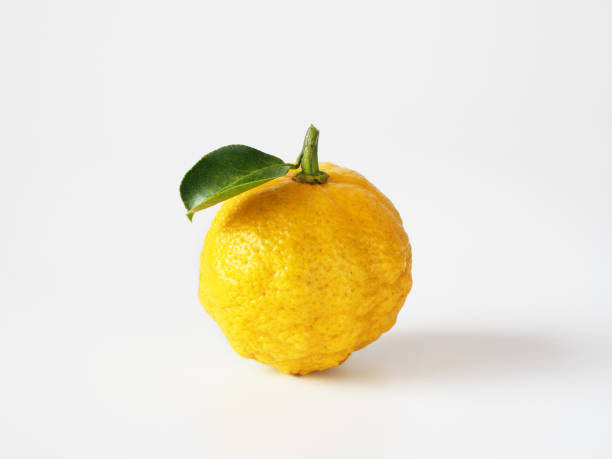 istock Japanese yuzu fruit on white background 1290945866