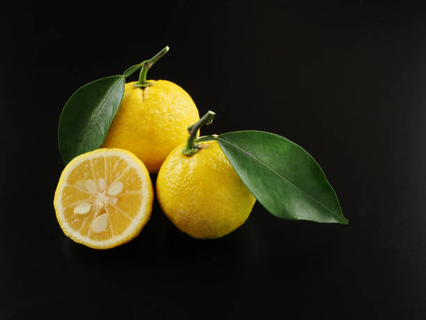 istock Japanese yuzu fruit on black background 1290948118