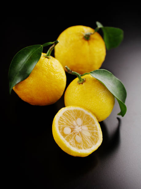 Japanese yuzu fruit on black background