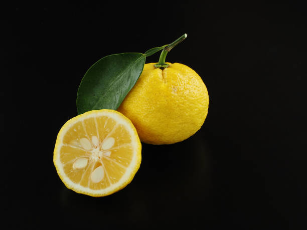 istock Japanese yuzu fruit on black background 1290948203