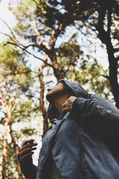 istock Tourist with a backpack and a hood at evergreen pine forest 1290948206