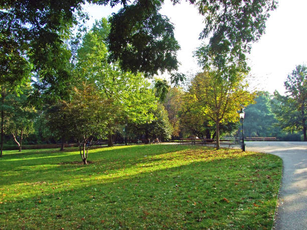istock Wiener Stadtpark, Wien (English-style, 19th-century public park with a river, ornate bridges & gilded Johann Strauss statue) - Vienna, Austria 1290950007