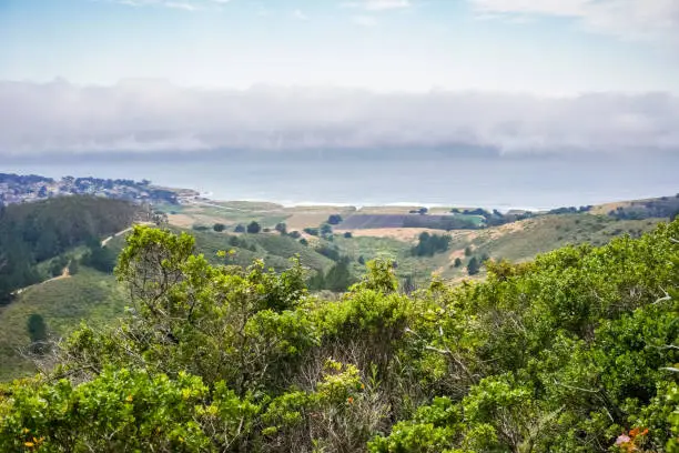 View towards the beach from Montara mountain (McNee State Park), California