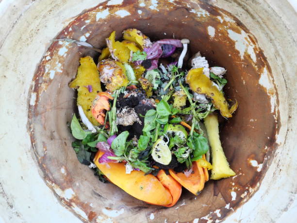 istock Composting from pineapple fruit and food waste in Thailand 1290954738