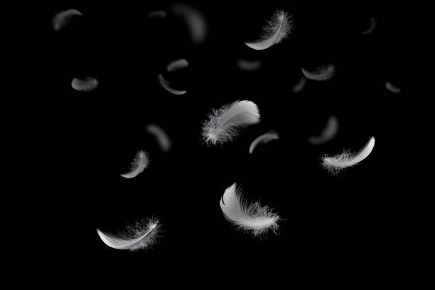 istock Light and soft fluffy a white feathers falling down in the dark. black background. abstract, feather freedom. 1290956428