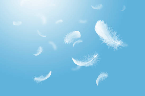 istock Light fluffy a white feathers falling down in a blue sky. abstract, feather floating freedom. 1290956431