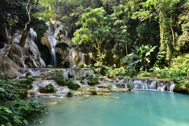 istock Kuang Si Falls at Luang Prabang, Laos 1290965121