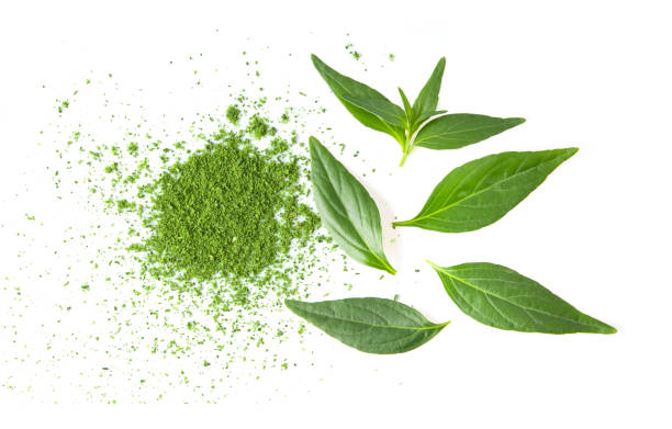 istock Green Kariyat herbal powder and leaf on white background top view 1290972074