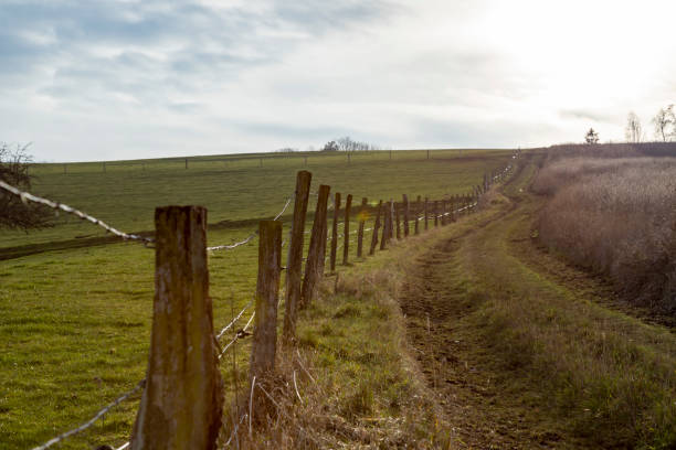 istock Hiking trail along fields and pastures, barbed wire fence separating a pasture. 1290974743