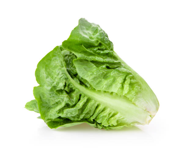 istock fresh baby cos (lettuce) on white background 1290974946