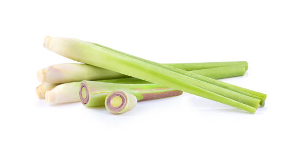 istock Lemongrass on a white background 1290975031