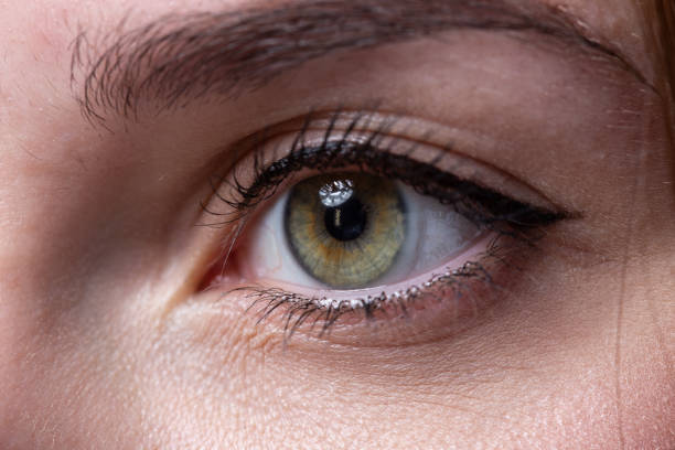 istock Image of woman's green eye with make-up 1290976225