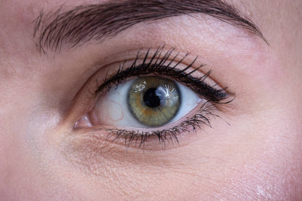 istock Shot of woman's green eye with make-up 1290976253