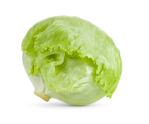 green iceberg lettuce on white background - iceberg lettuce imagens e fotografias de stock