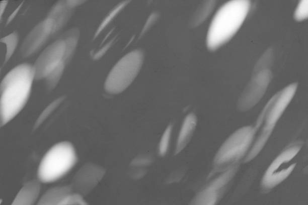 istock Light and shadow of the leaves 1290979837