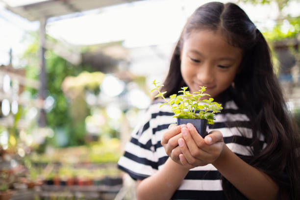 istock Little Asian girl hold small tree pot on hands, Environment or saving concept 1290980187