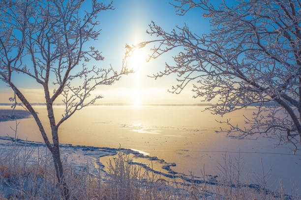 холодный зимний день пейзаж со снежными деревьями. фото из соткамо, финляндия. - lake night winter sky стоковые фото и изображения