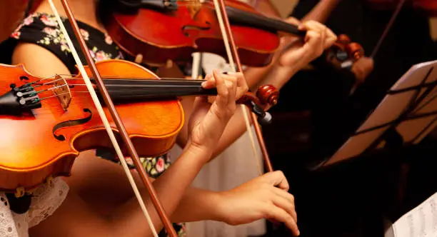 Photo of Row, group of anonymous violin players, children, people playing, bows in hands, stands in front, closeup. Classical music concert simple performance kids orchestra string section / quartet performing