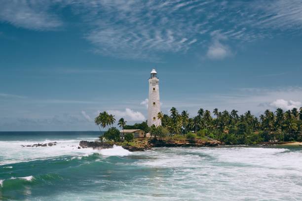 istock Lighthouse in the middle of palm trees 1290995305