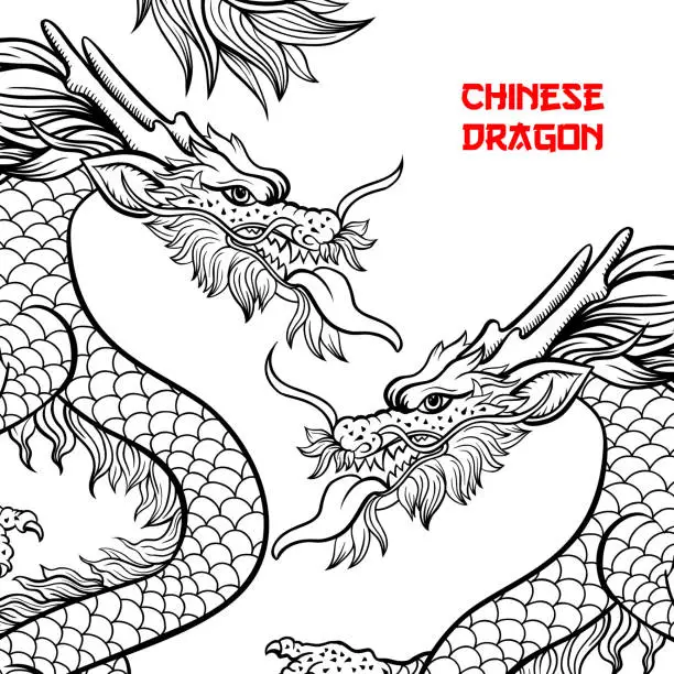 Vector illustration of Two Chinese dragons hand drawn contour illustration