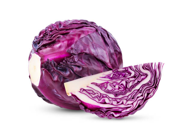 red cabbage on white background - head cabbage imagens e fotografias de stock