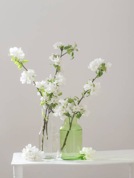 istock apple flowers in glass vase in white interior 1291002971