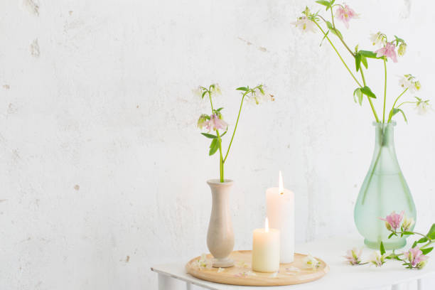 istock columbine flowers in vase on background white wall 1291002988