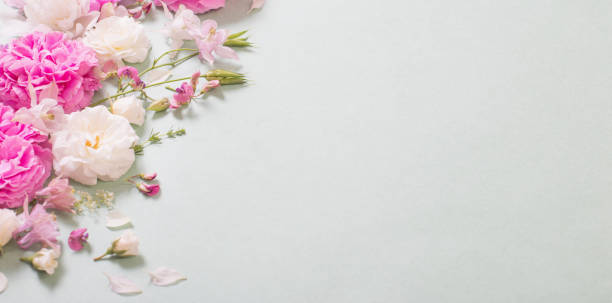 istock pink and white roses on paper background 1291002989