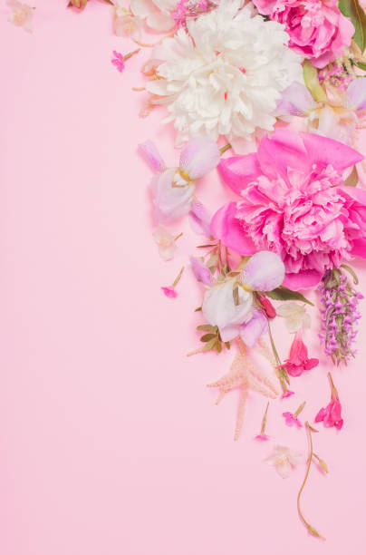 istock beautiful flowers on pink paper background 1291002997