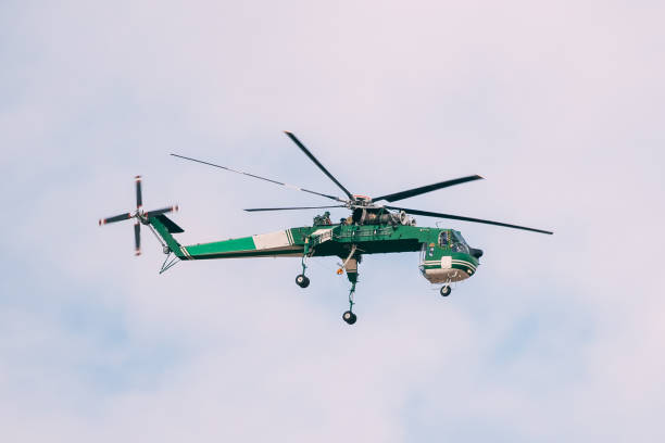 istock Aerial Crane Or Flying Crane Flying In Sky 1291004693