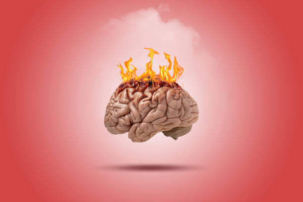 Brain on fire Brain on fire with fire and smoke animal brain stock pictures, royalty-free photos & images