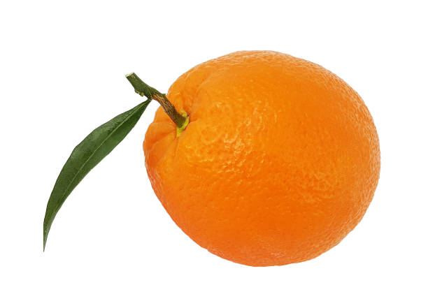 istock orange isolated leaf fresh whole slice background fruit 1291005320