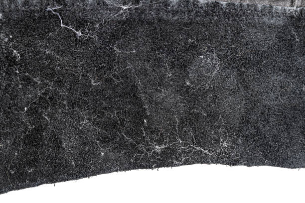 istock Piece of black leather, back side 1291006752