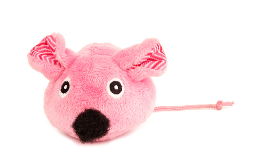 This is an artificial mouse pink pet toy for cats isolated on white background.