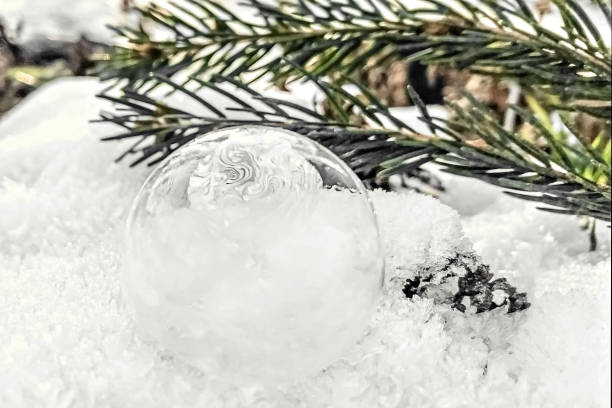 Frozen bubble with ice crystals on the snow with a spruce branch. Christmas background.