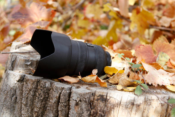 istock Yellow leaves and camera lens 1291012270